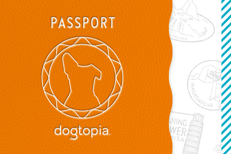 Dogtopia of Owings Mills passport party