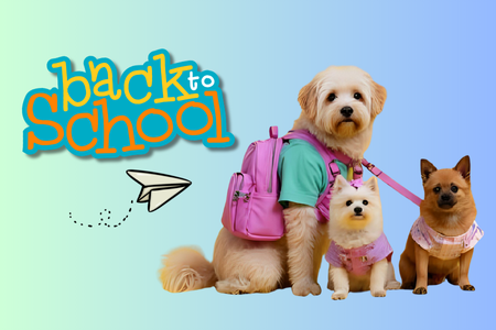 dogtopia of owings mills hosts back to school event