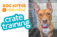 dogtopia Owings Mills crate training