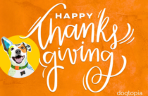 Dogtopia of Owings Mills celebrates Thanksgiving!