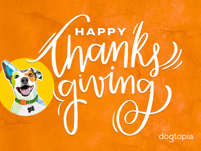 Dogtopia of Owings Mills celebrates Thanksgiving!
