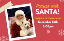Photos with Santa at Dogtopia of Owings Mills