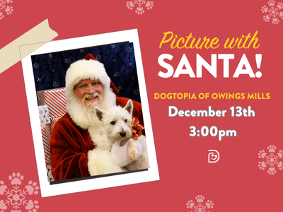 Photos with Santa at Dogtopia of Owings Mills