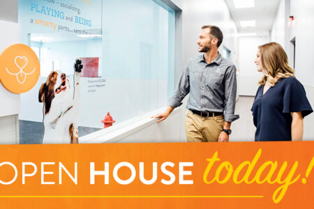 Dogtopia of Owings Mills Hosts Open House for Owings Mills, Reisterstown and PIkesville dog owners