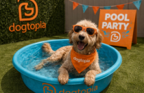 Dogtopia of Owings Mills hosts pool party