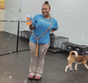 Dogtopia of Owings Mills Bubble Play