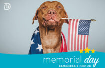 Dogtopia of Owings Mills Memorial Day Celebration