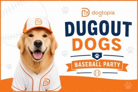 Dogtopia of Owings Mills hosts baseball themed party for dog daycare pups