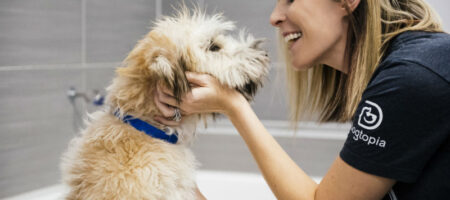 what vaccines does my dog need for daycare
