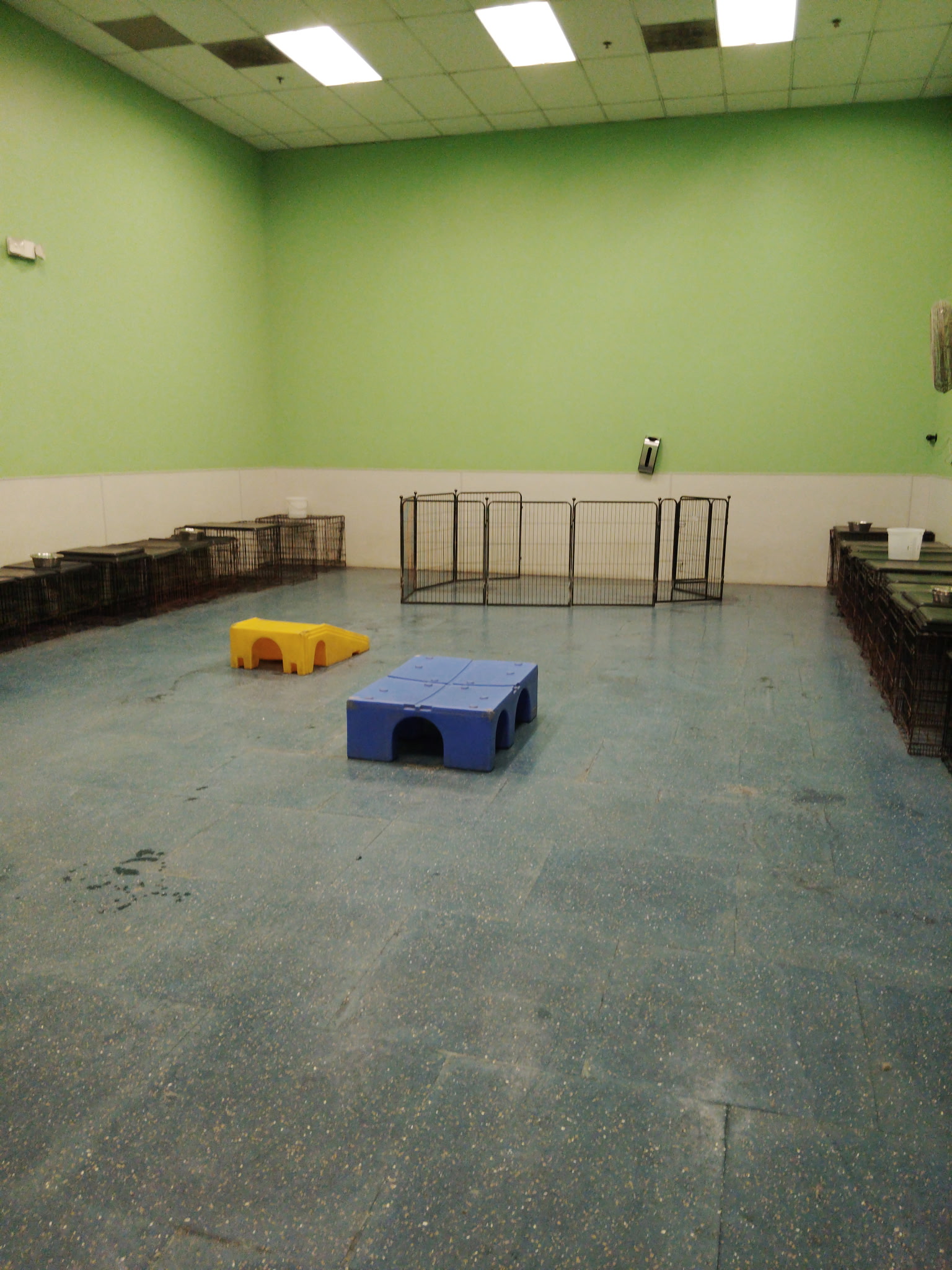Manassas Playroom