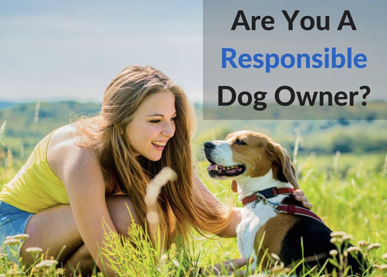 responsible dog ownership day