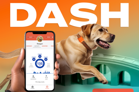 DASH Launch! - Springfield