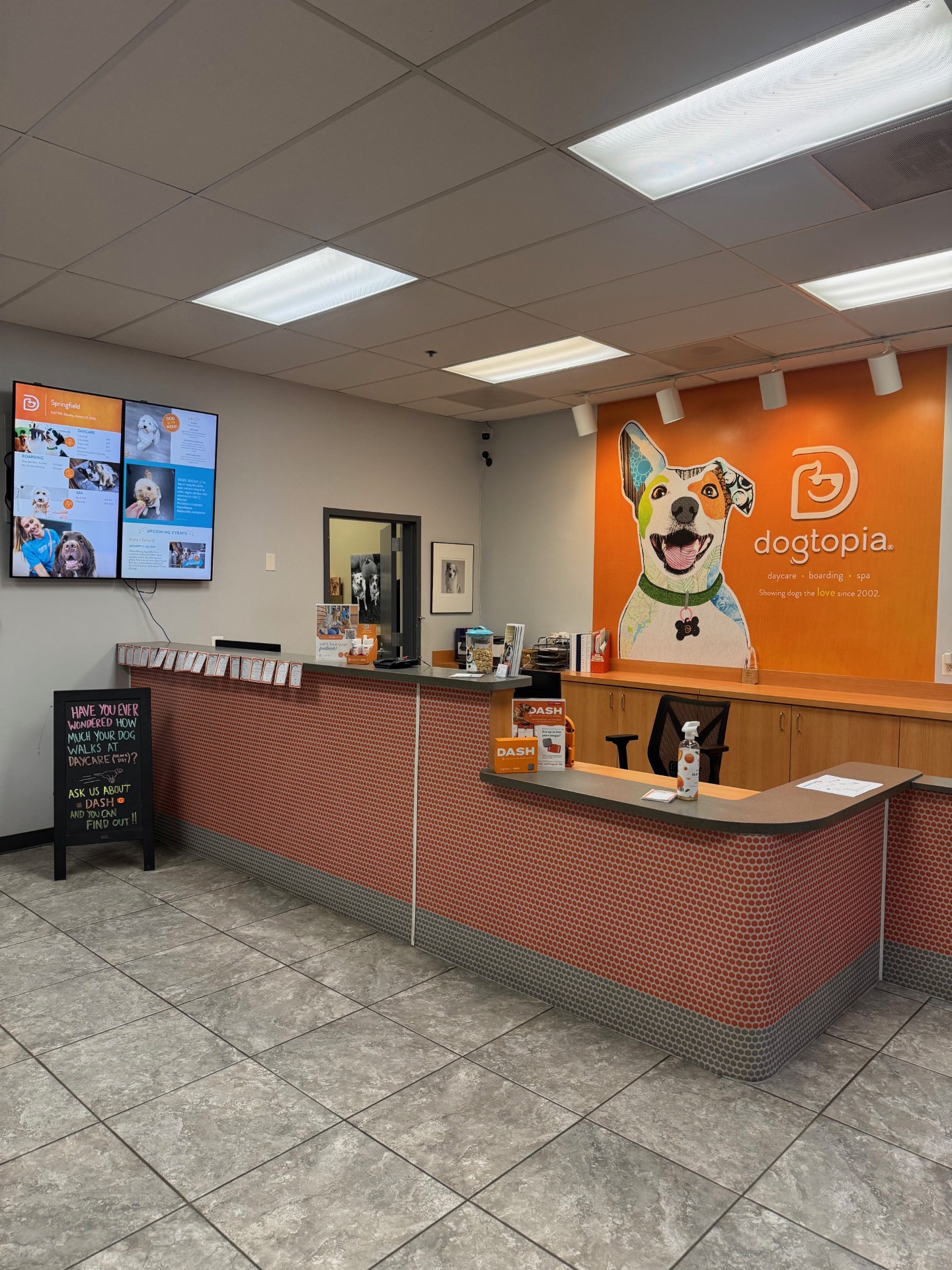 Springfield Lobby