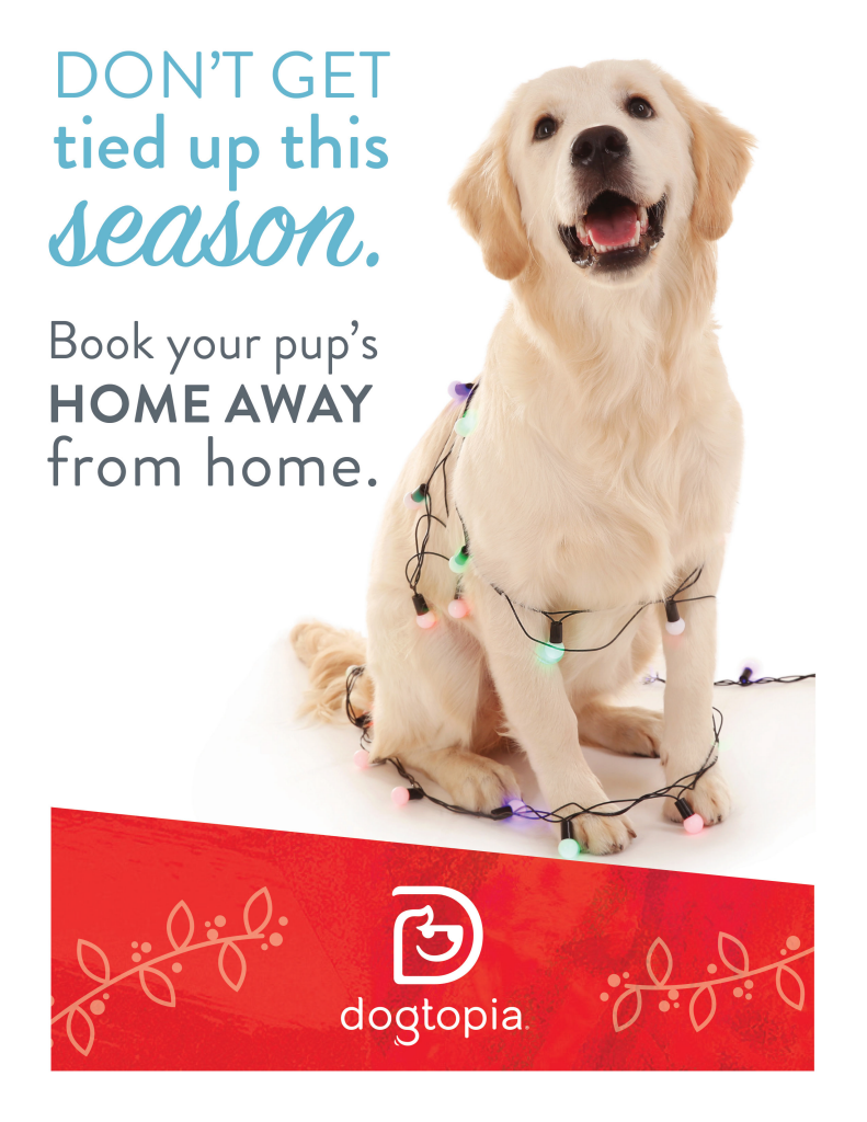 Holiday Boarding! Fredericksburg