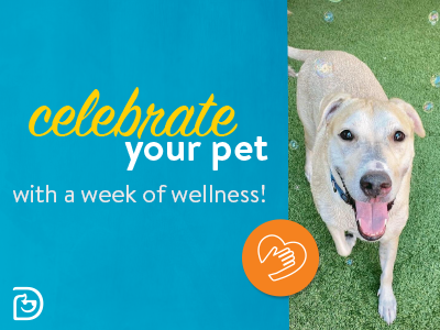 appreciation_week_fun_party