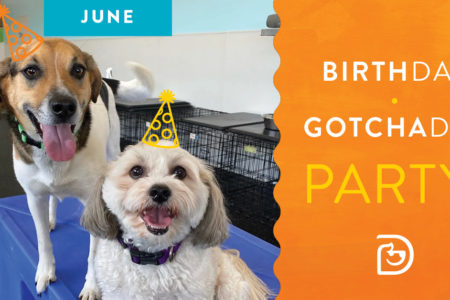 birthday_party_pups_june
