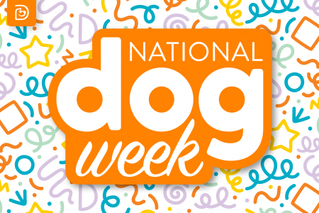 National Dog Week! - Fredericksburg