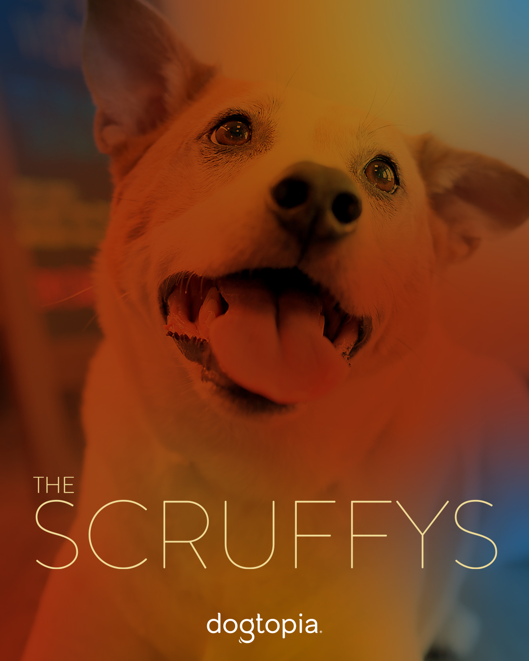 Scruffy Team Scruffy Awards * March 3-7th, Winners announced on March 7th. - Tysons ...