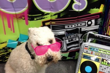 TimeWarp Tuesday 80's