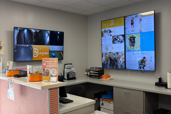 Front desk at Dogtopia of Houston - Waugh Drive