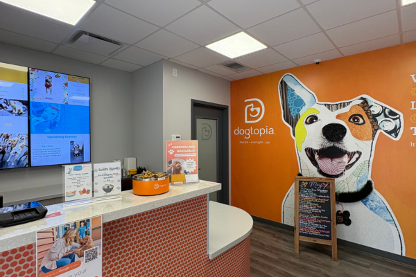 Lobby at Dogtopia of Houston - Waugh Drive