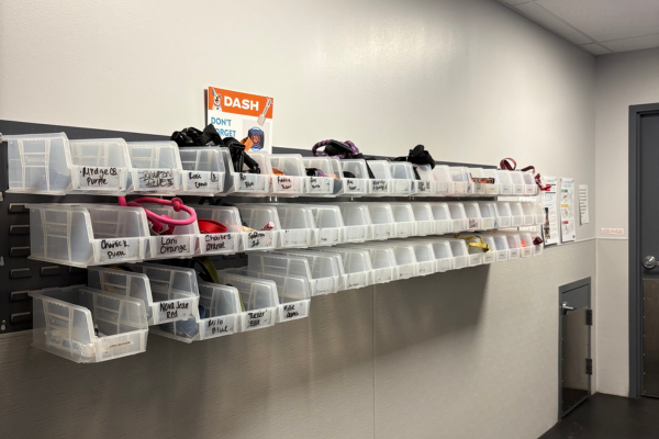 The Evaluation Room at Dogtopia of Houston - Waugh Drive