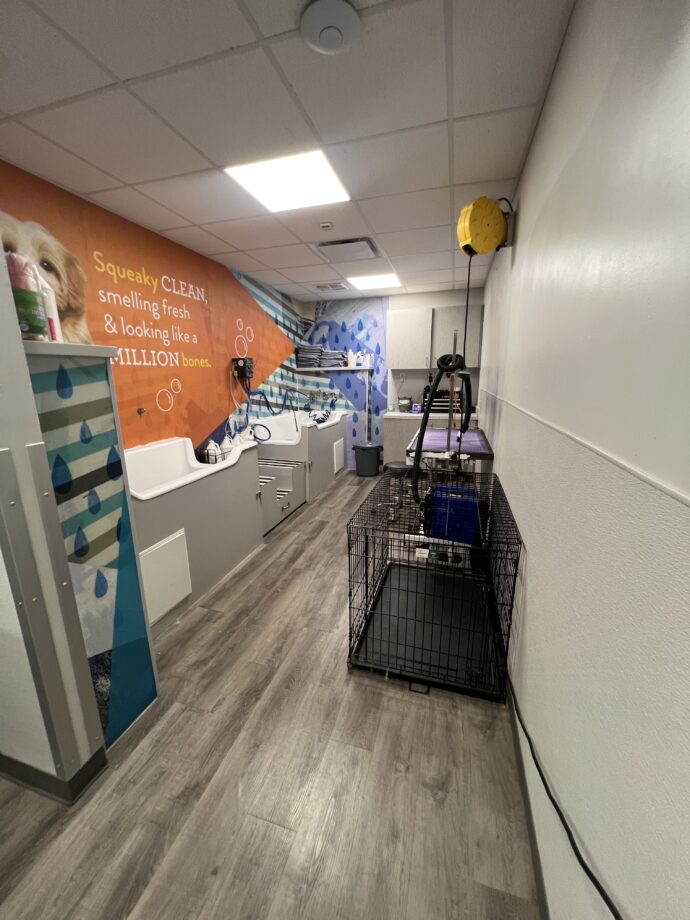Dogtopia of Houston - Waugh Drive dog spa room