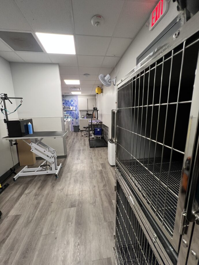Dogtopia of Houston - Waugh Drive dog spa room
