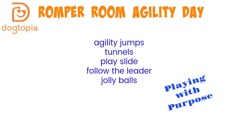 Romper Room Agility Day Waco