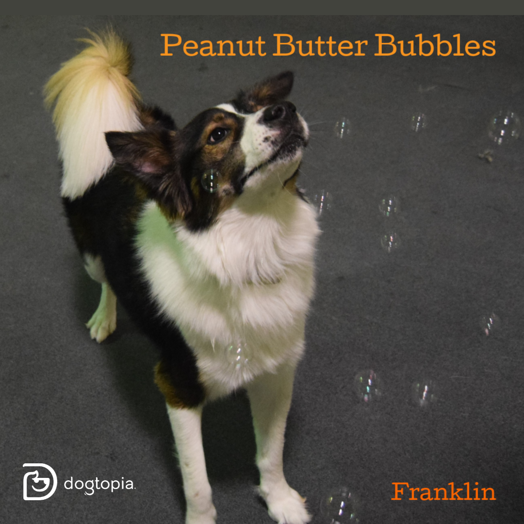 Peanut Butter Bubbles Waco