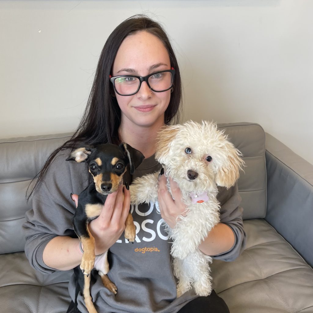 About the Team Dogtopia Douglas Glen