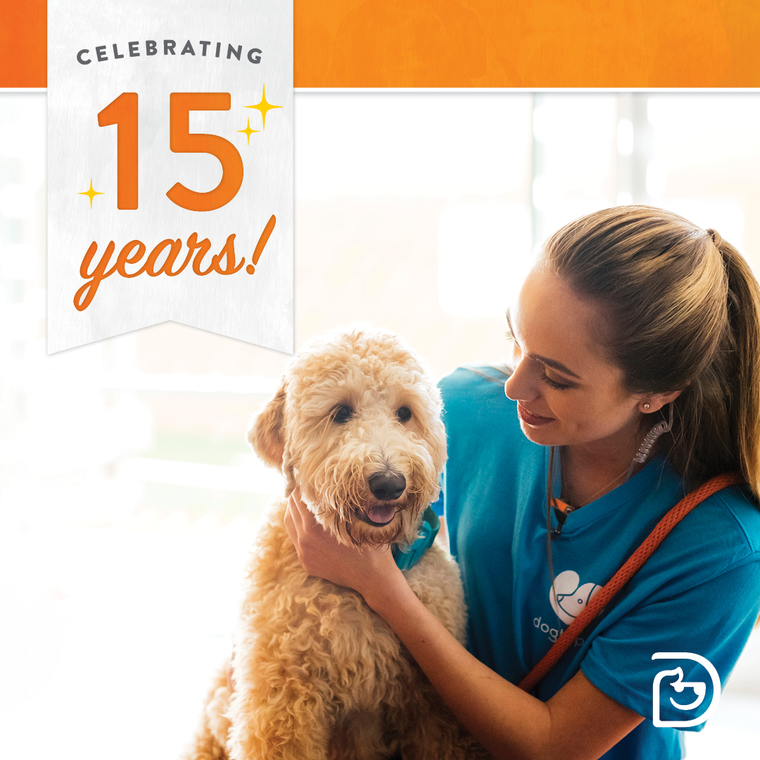 Celebrating 15 Years Austin